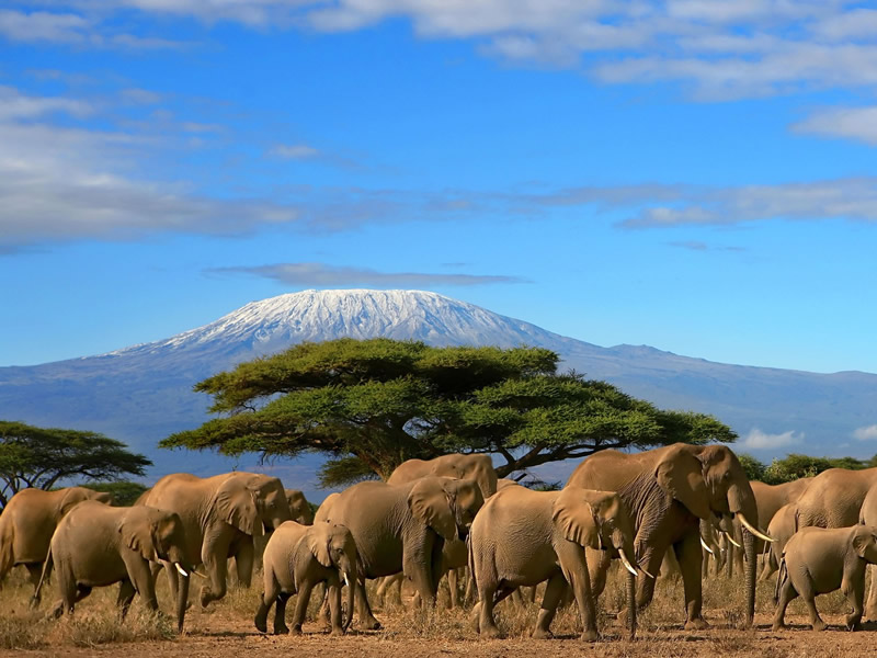 amboseli